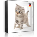 banjado grosser schluesselkasten metall - schluesselbox 30x30cm beschreibbarer mit 32 haken - schluesselkasten modern fuer schluesselaufbewahrung - korpus schwarz scharnier links - motiv miau